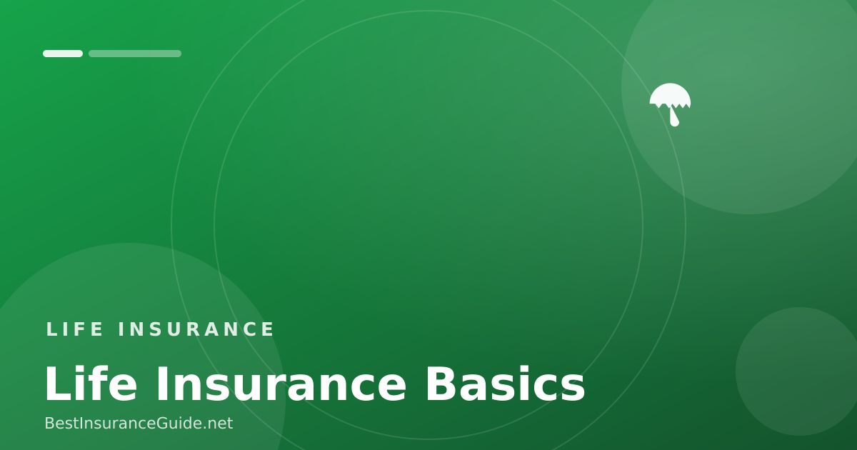 Life insurance basics explained banner