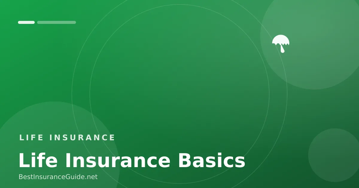 Life insurance basics explained banner